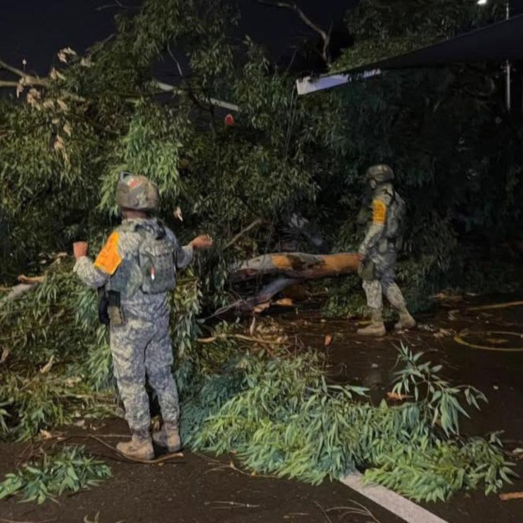 Elementos del Ejército mexicano resguardan la zona donde cayó un árbol en Culiacán, Sinaloa, debido a las lluvias
